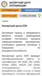 Mobile Screenshot of iso-cert.ru